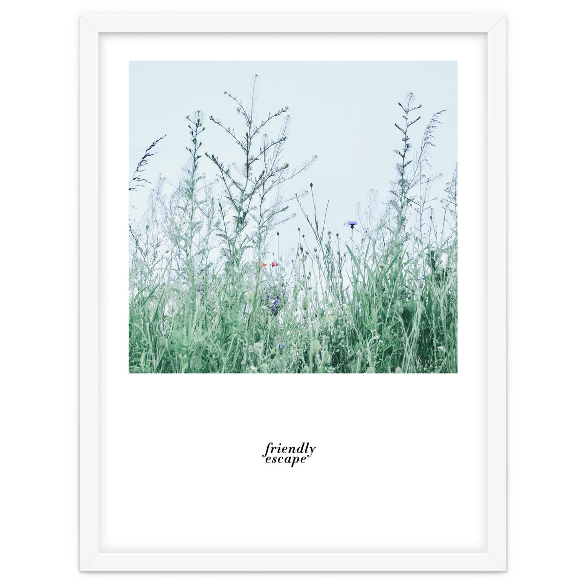 Friendly escape - Nature Photography -