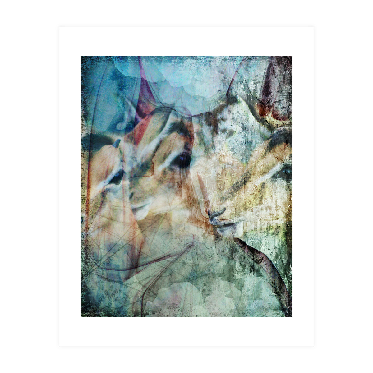 Three Deer (Print Only)