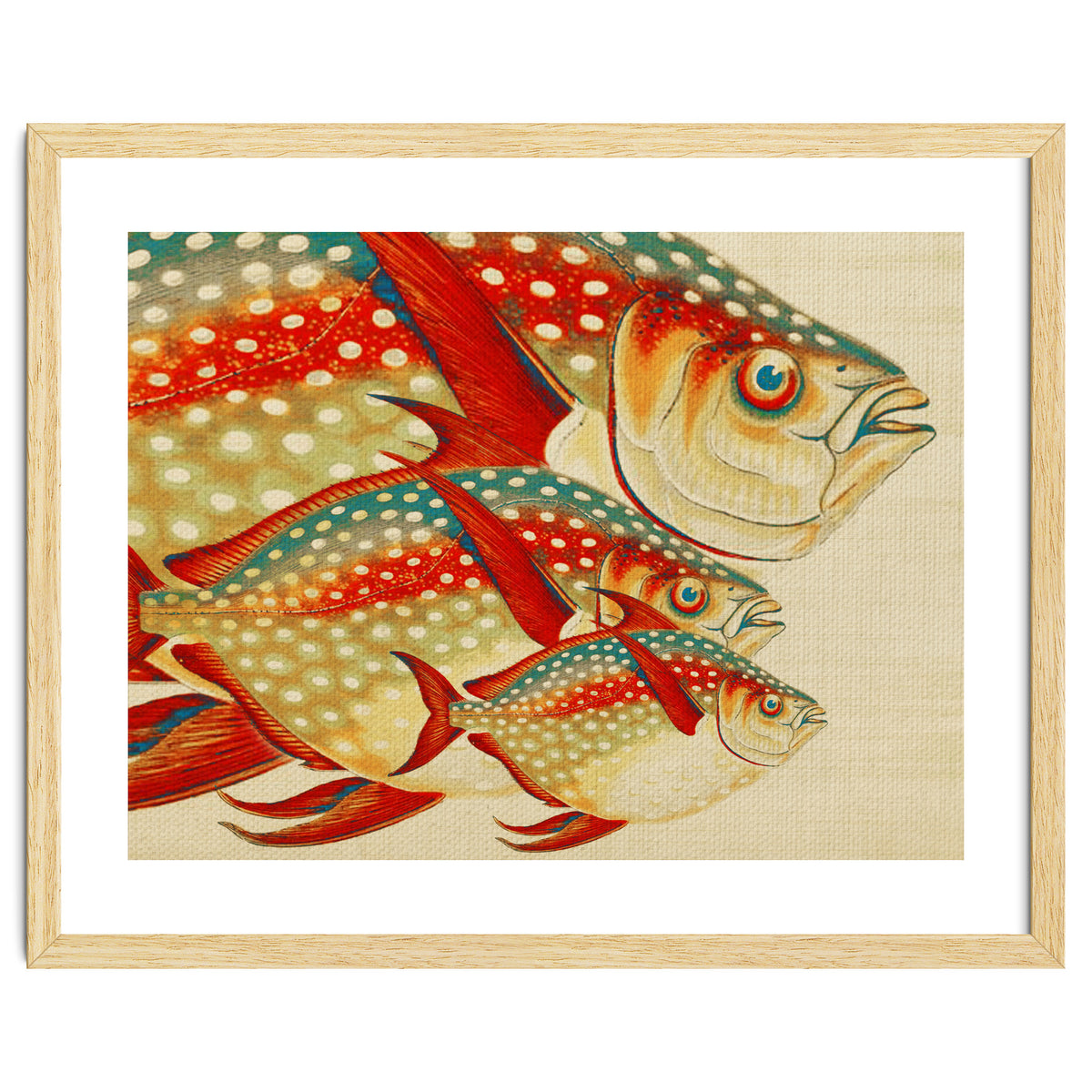 Fish Classic Designs 1