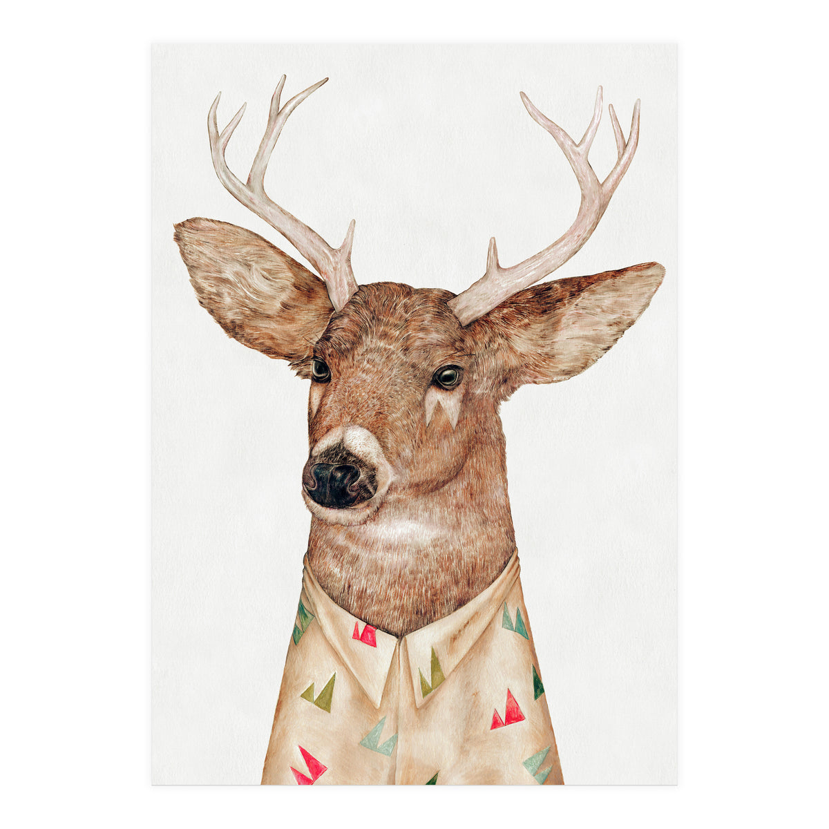 Whitetailed Deer (Print Only)
