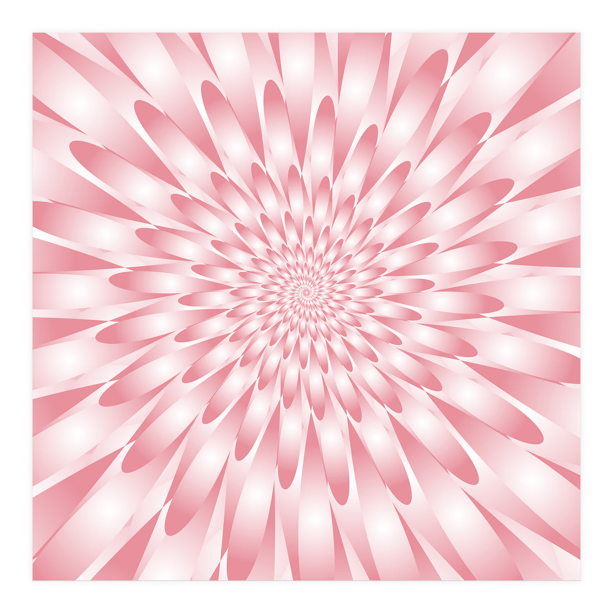 Spiral Pink Flower  (Print Only)