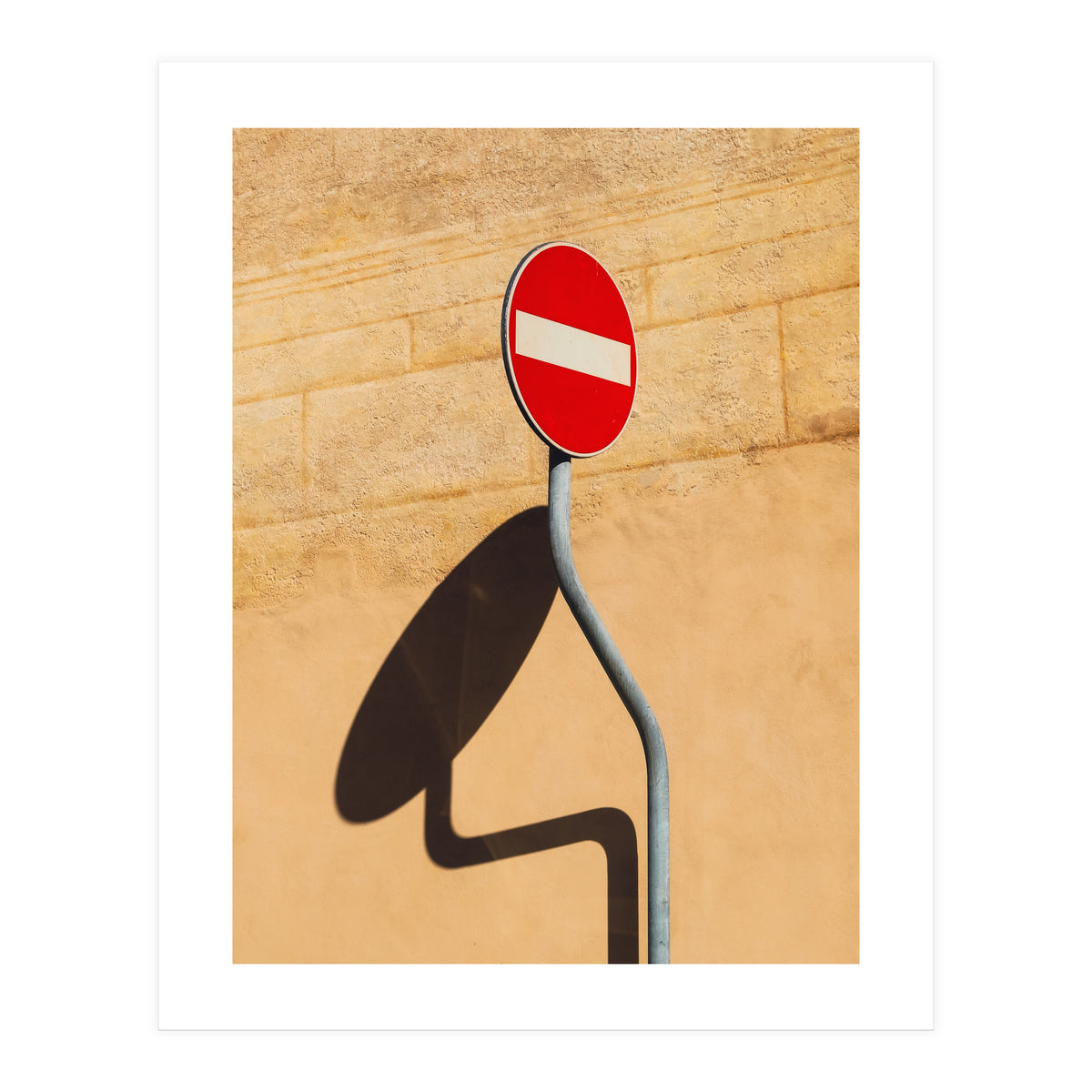 Snake on wall (Print Only)