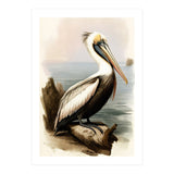 Pelican on the Shoreline Vintage Painting (Print Only) thumbnail
