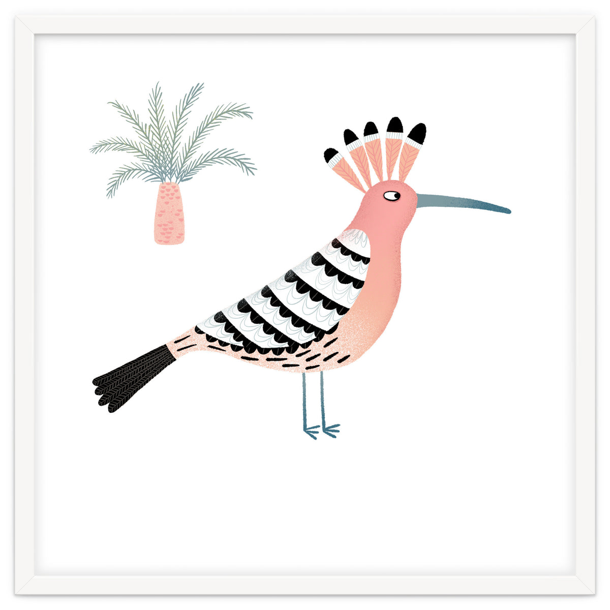 Hoopoe