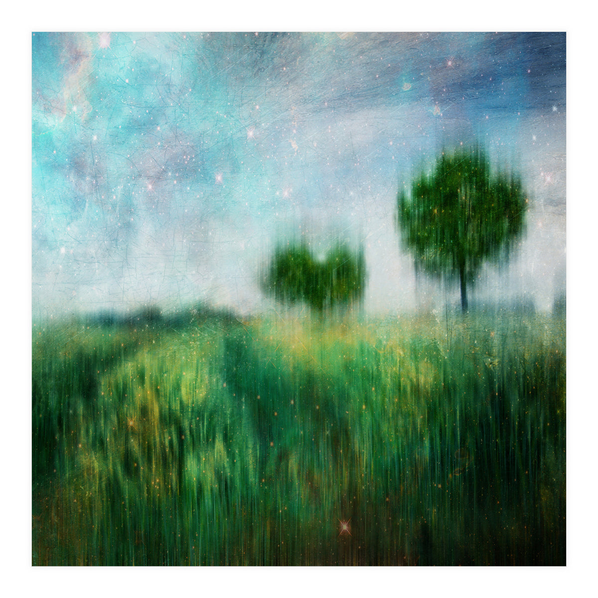 A Star That Fell (Print Only)