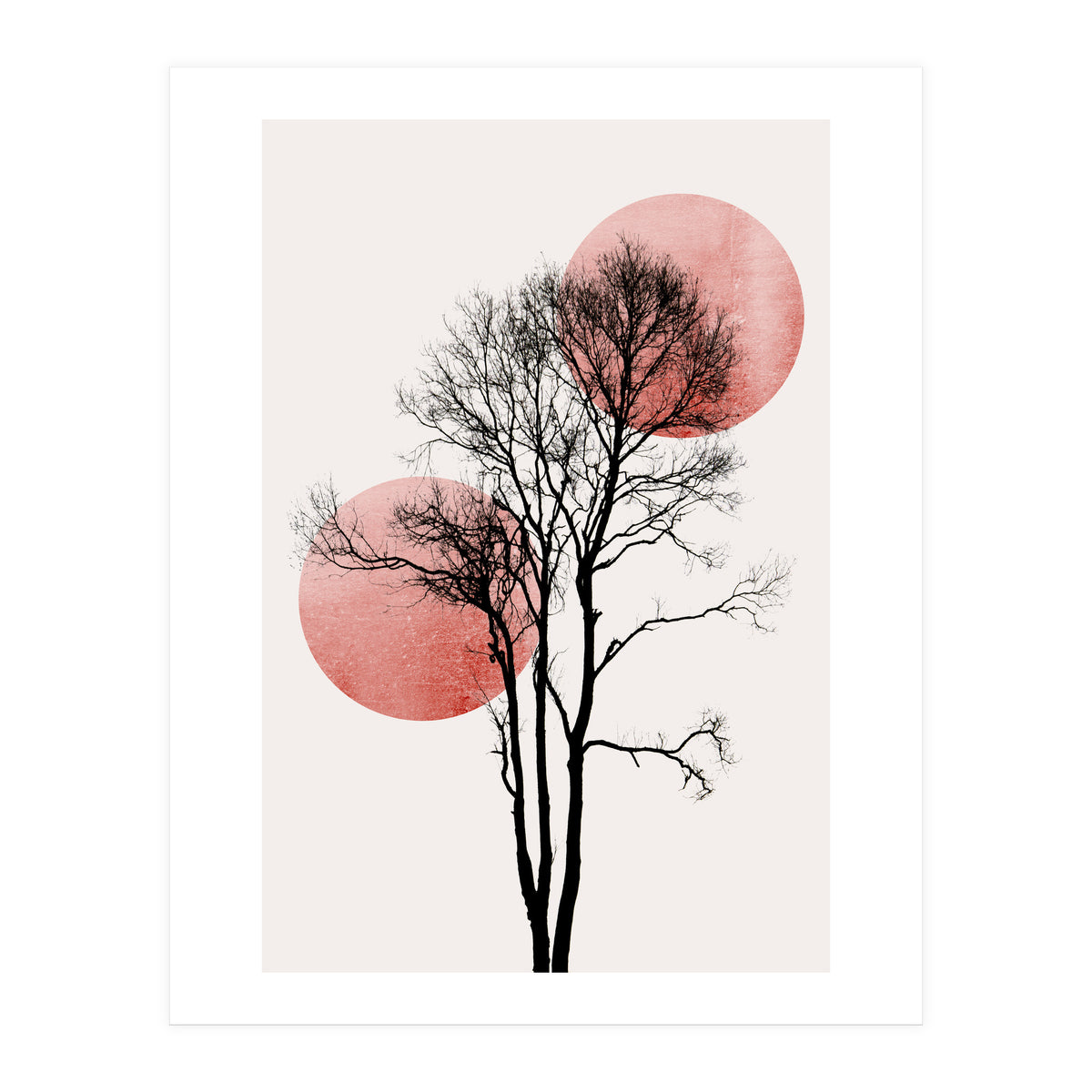 Sun And Moon Hiding Rosè (Print Only)
