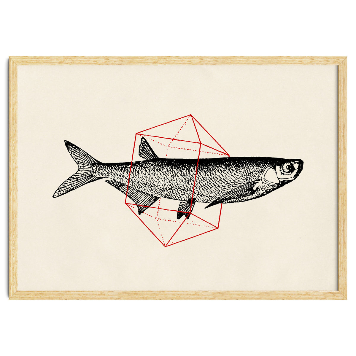 Fish In Geometrics II