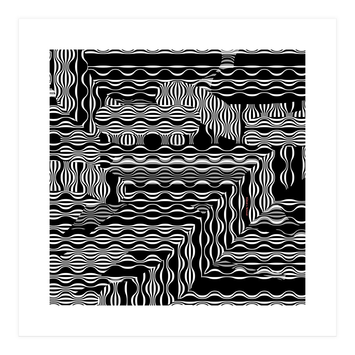 BLACK AND WHITE EXOTIC (Print Only)