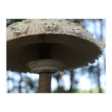 Shelter In The Woods (Print Only) thumbnail