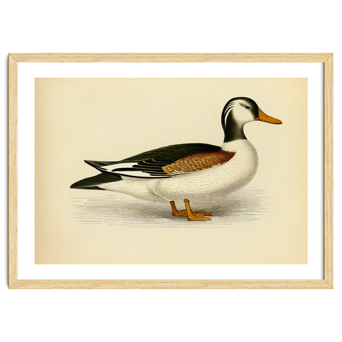 Vintage Duck Painting