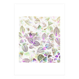 Nature Glow (Print Only) thumbnail
