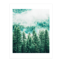 Forest And Fog (Print Only)