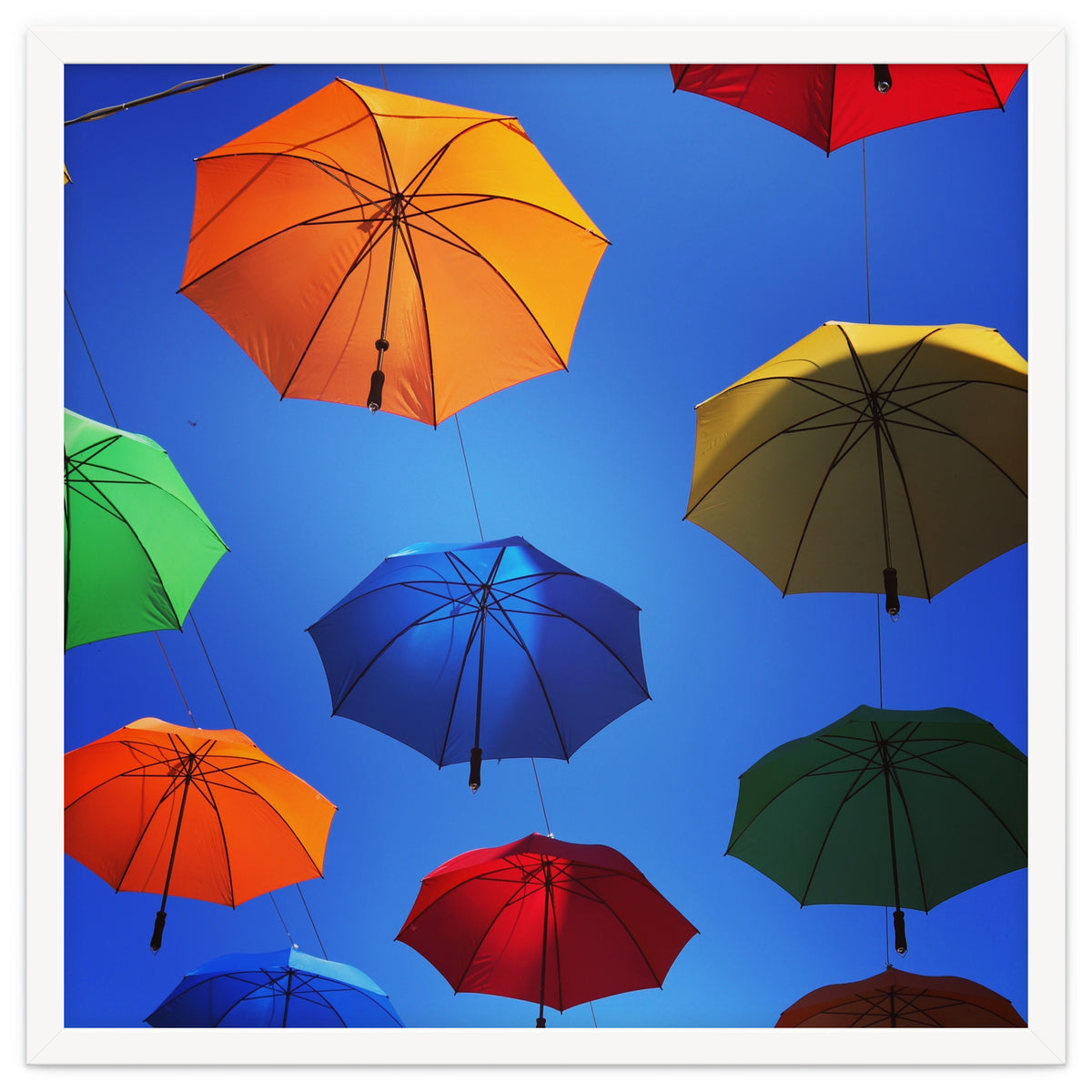 Rainbow umbrellas