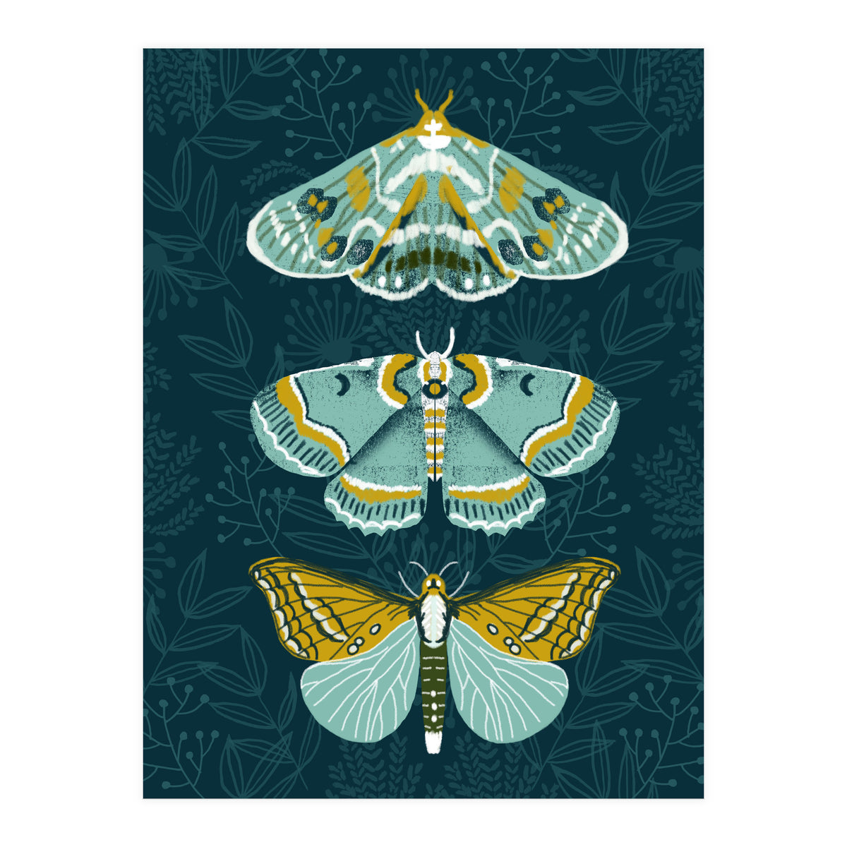 Lepidoptery8 (Print Only)