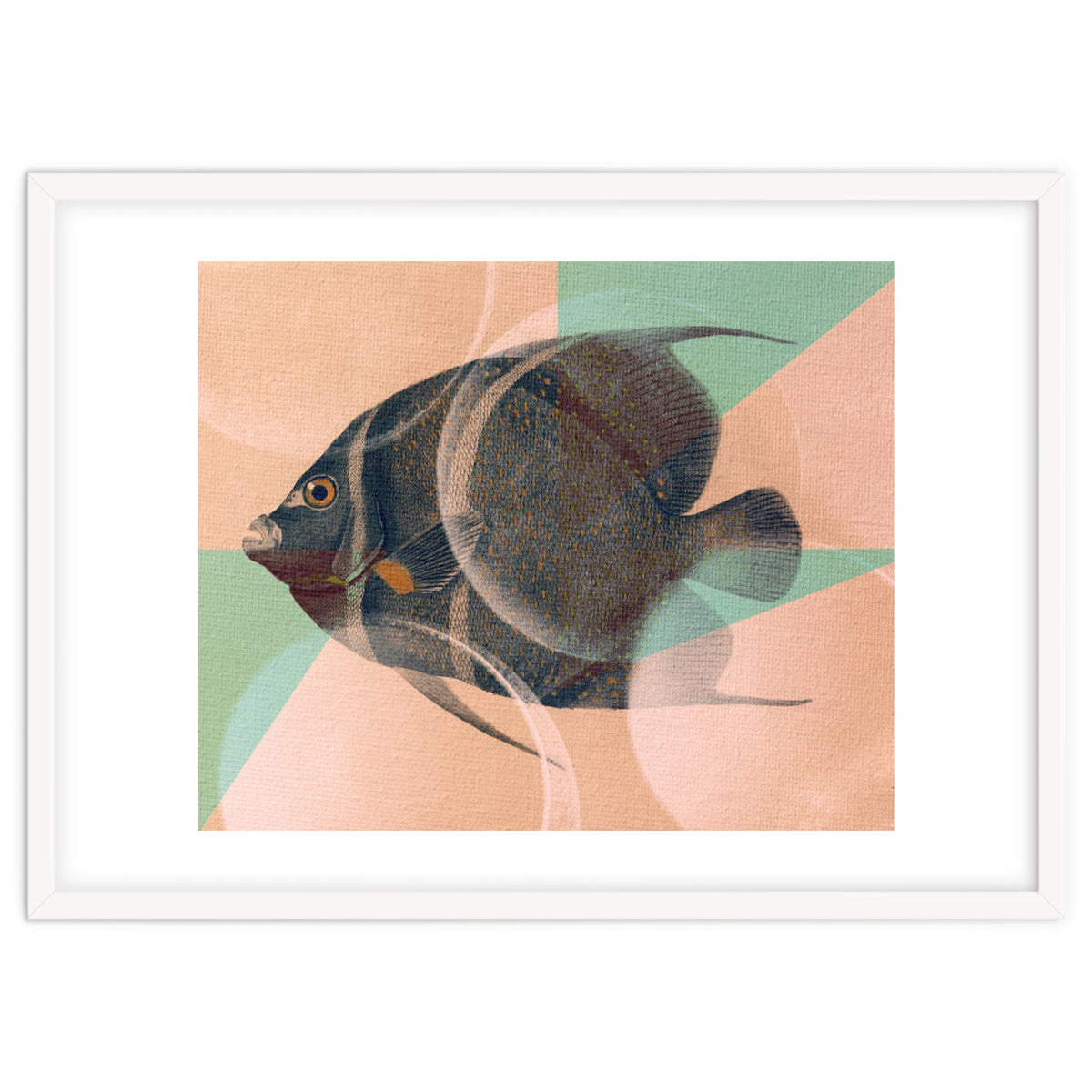 Fish Between Circles 2