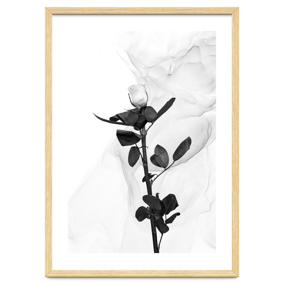 White Rose | Liquid Art