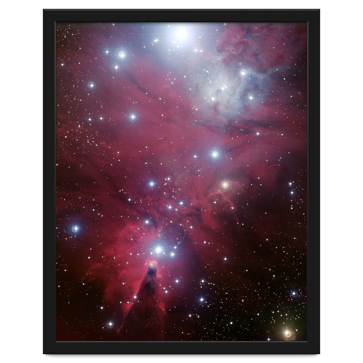 The Christmas Tree Cluster