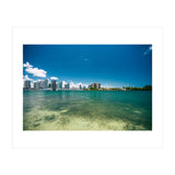305 (Print Only) thumbnail