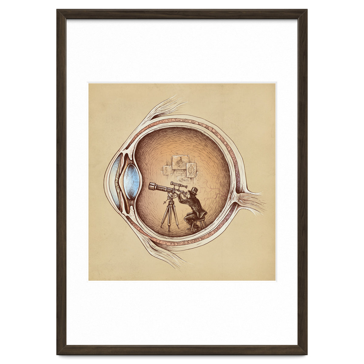 Extraordinary Observer