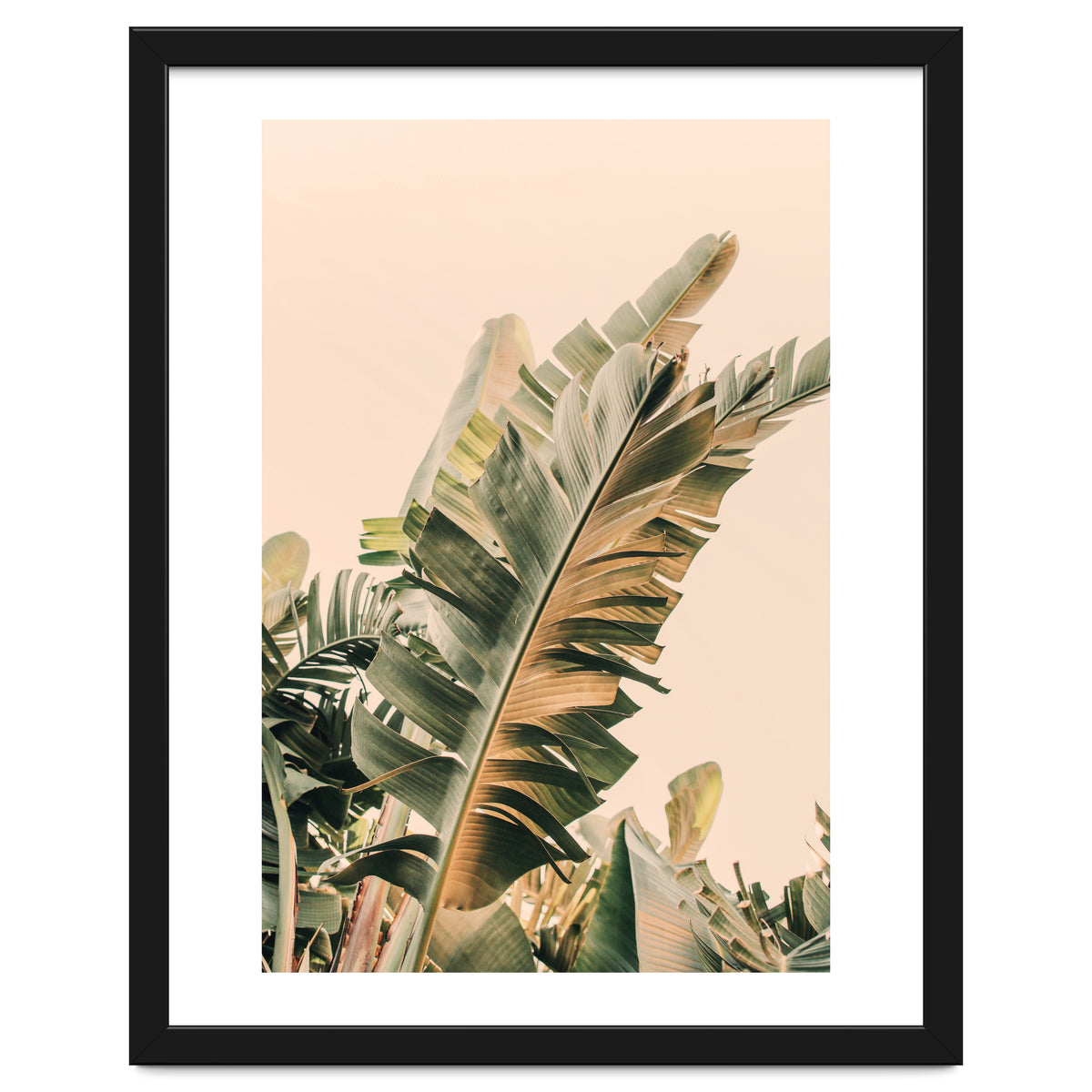 Growing Green Alicia Bock