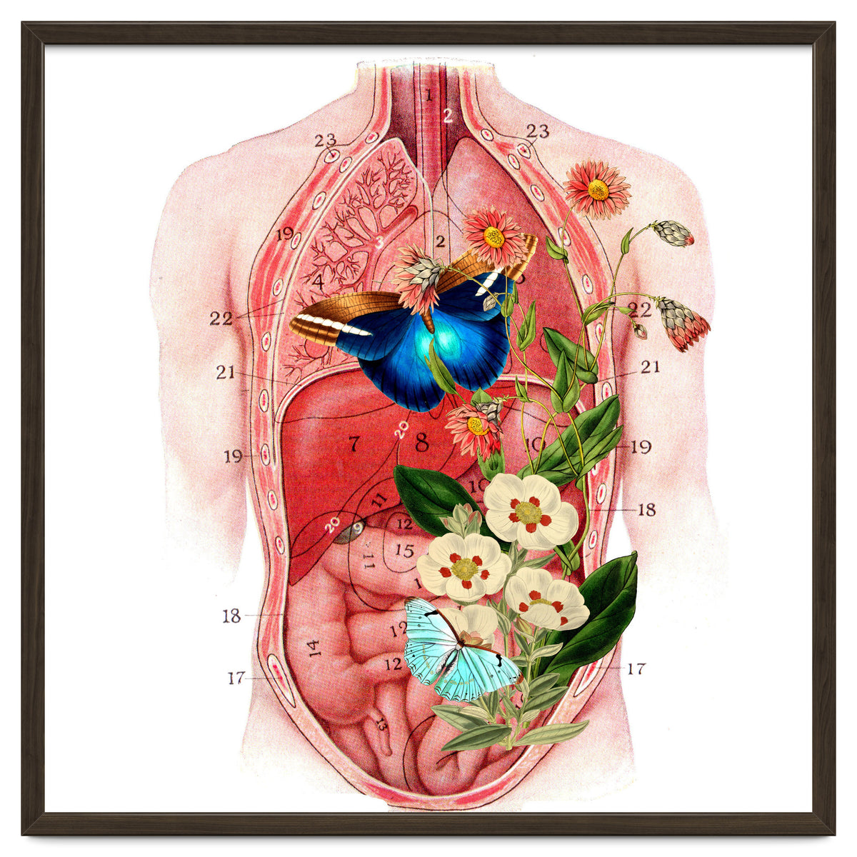 Butterflys In The Belly Makes Flower Grows