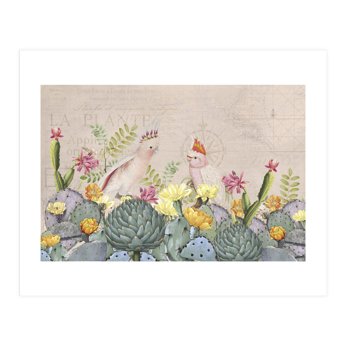 Desert Cockatoos (Print Only)