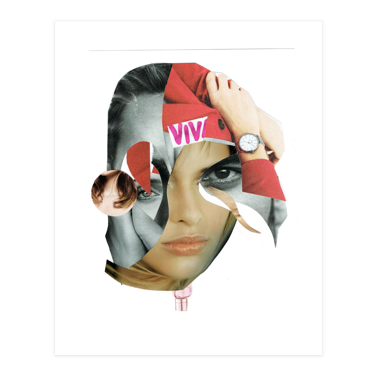 Another Portrait Disaster X (Print Only)