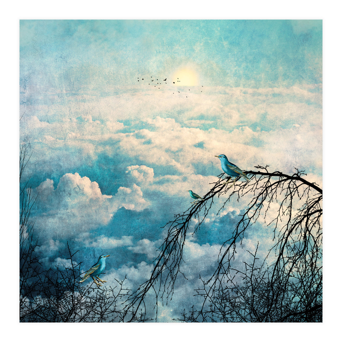 HEAVENLY BIRDS III-B4 (Print Only)