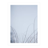 Forgotten Memories of Summer #20 (Print Only) thumbnail