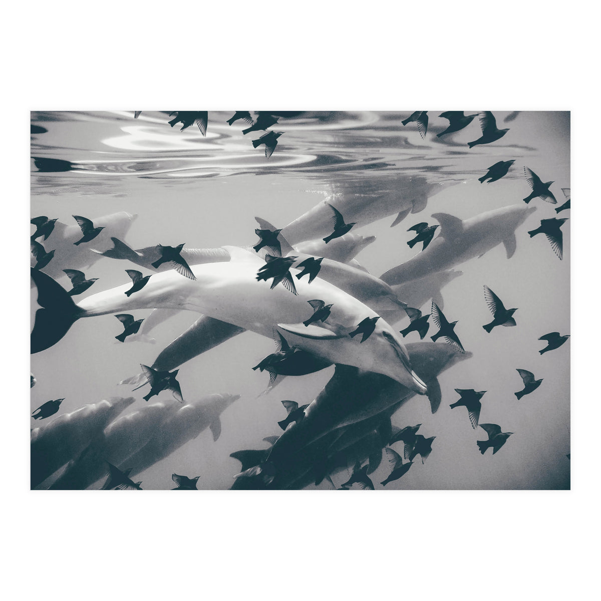 Found Out (Print Only)