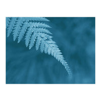 Pteridopsida 1 (Print Only)