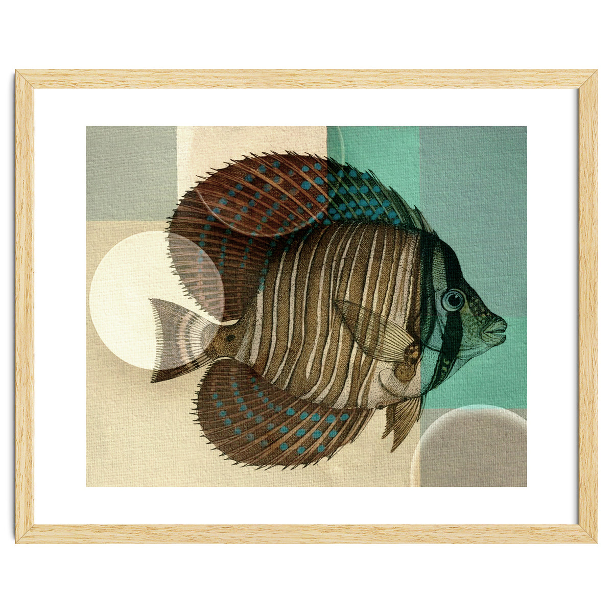 Fish Between Circles 4