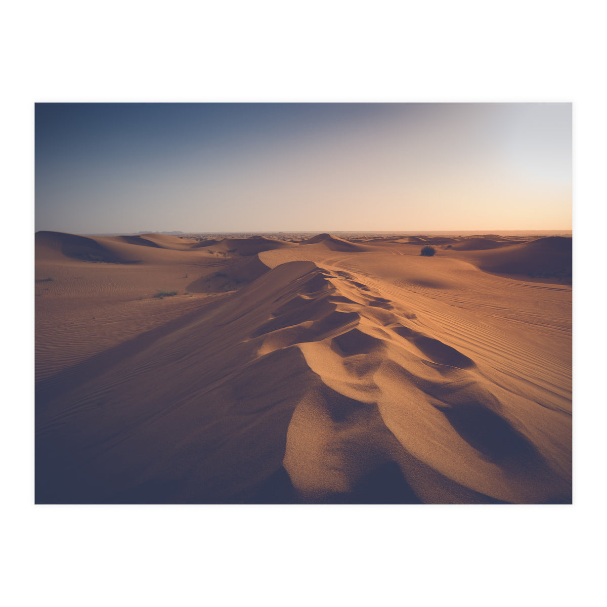 Caramel (Print Only)