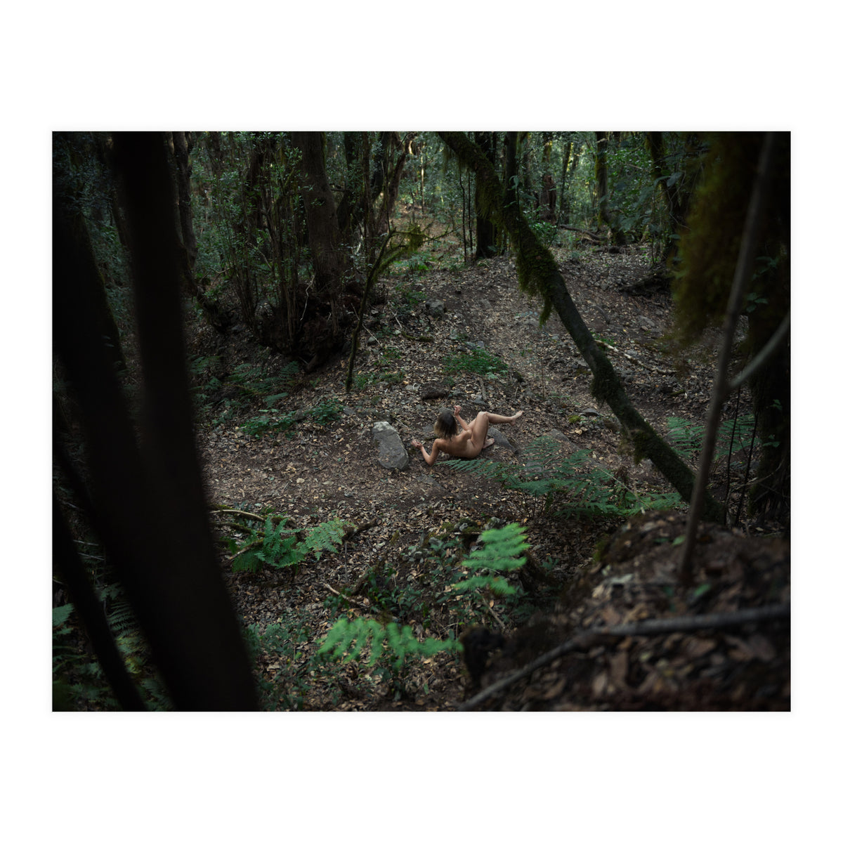 Into the Wild (Print Only)