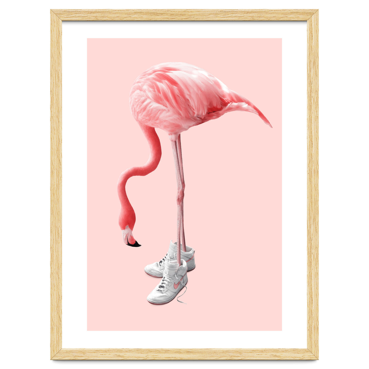 Sneaker Flamingo