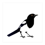 Magpie (Print Only) thumbnail
