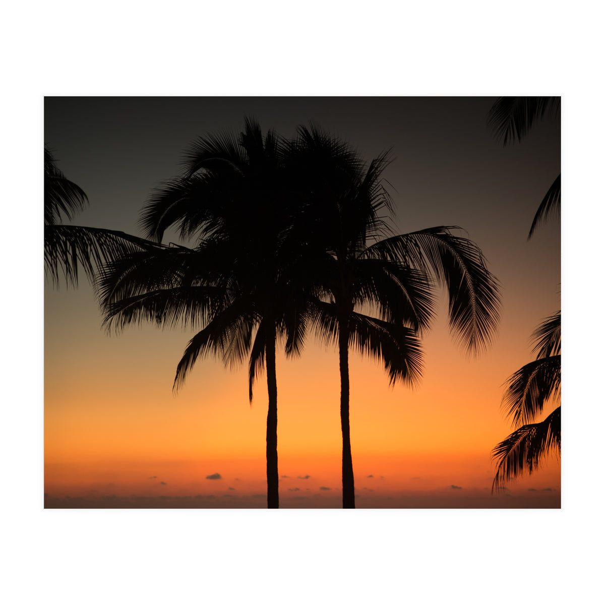 Mexico, November nights (Print Only)