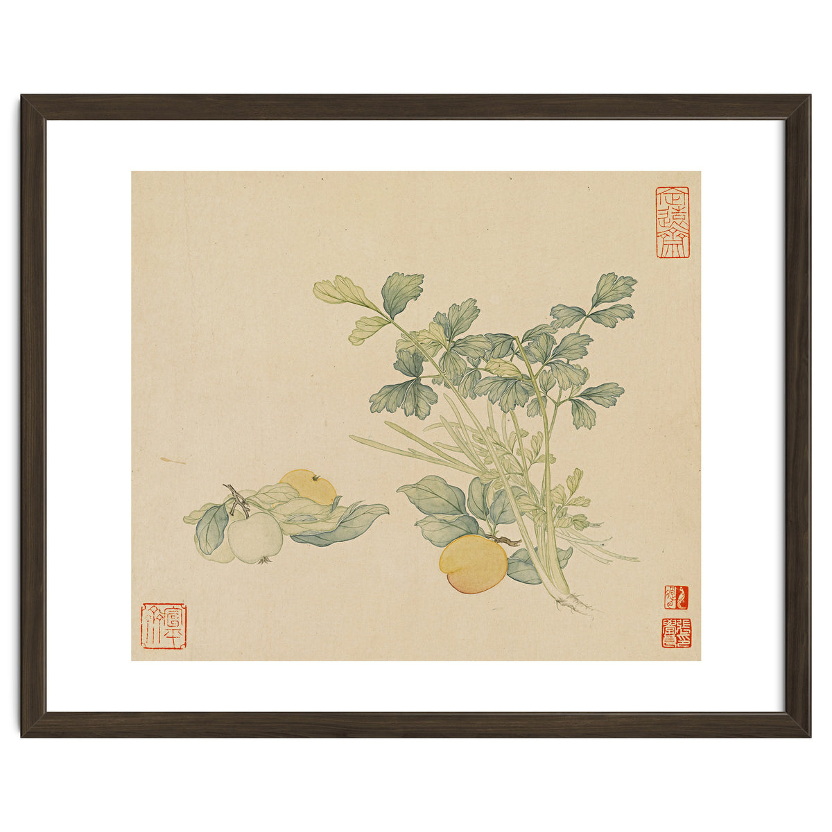 Wang Chengyu~flowers And Vegetables, Vegetables, Fruits, Plums, Apricots, Celery