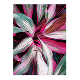 fiore red (Print Only) thumbnail