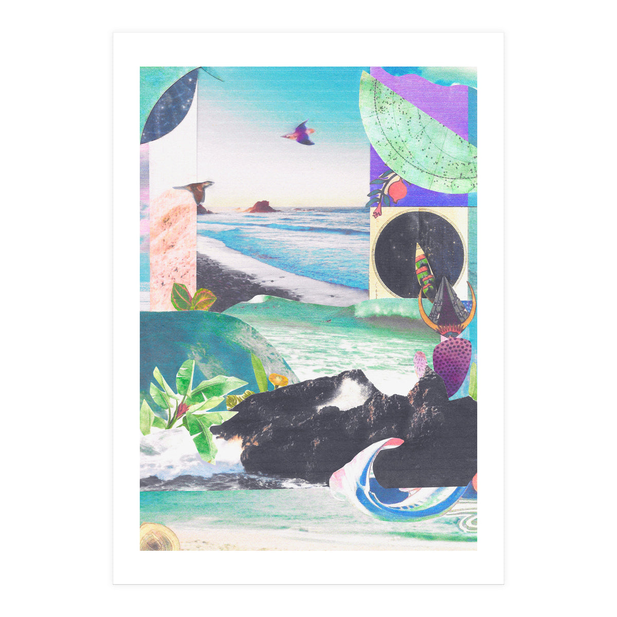 Beak Ruddy (Print Only)