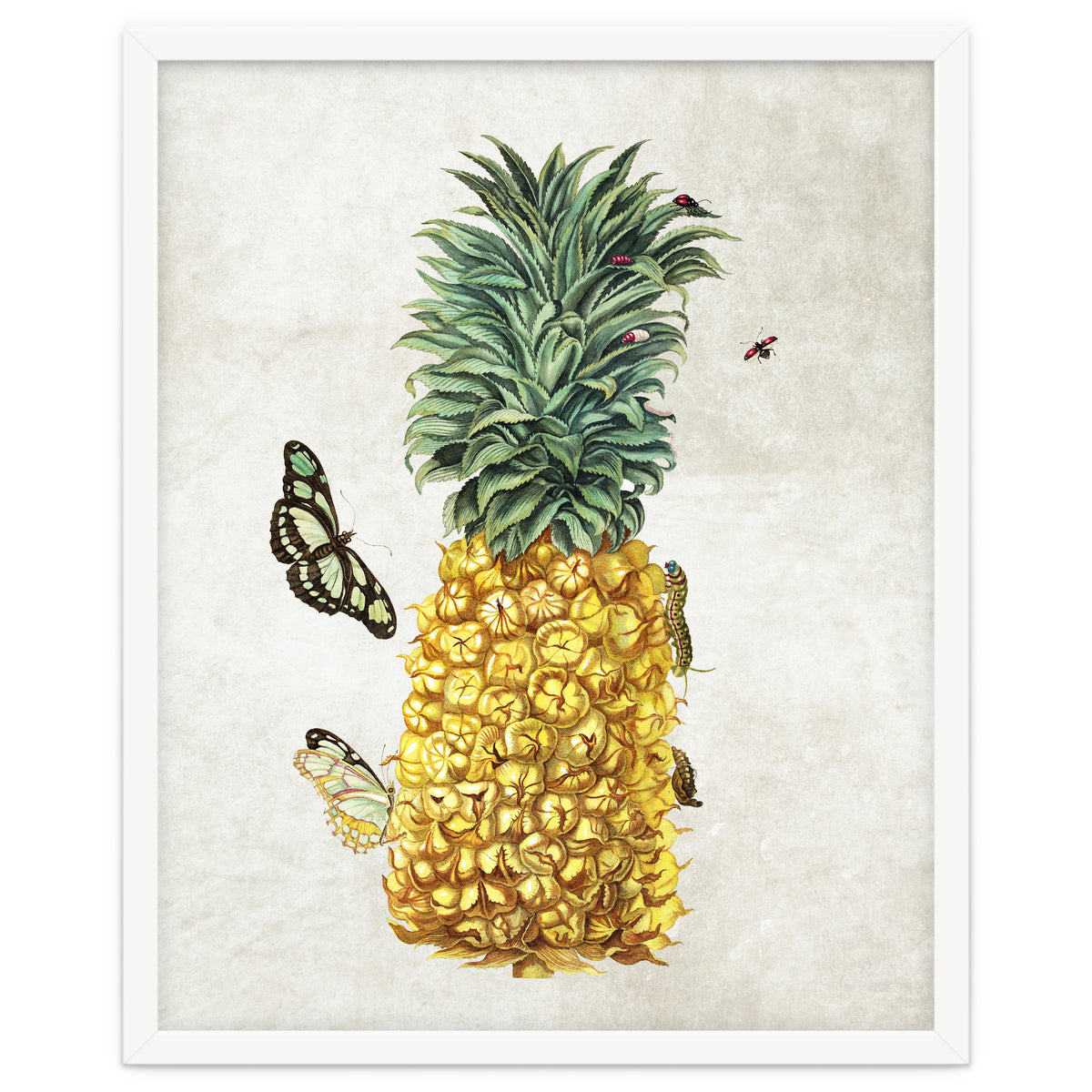 ananas