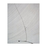 Abstract #1 (Print Only) thumbnail