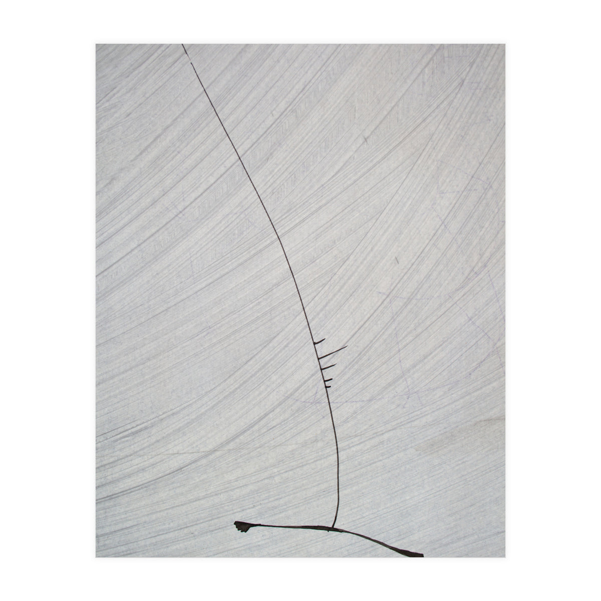 Abstract #1 (Print Only)