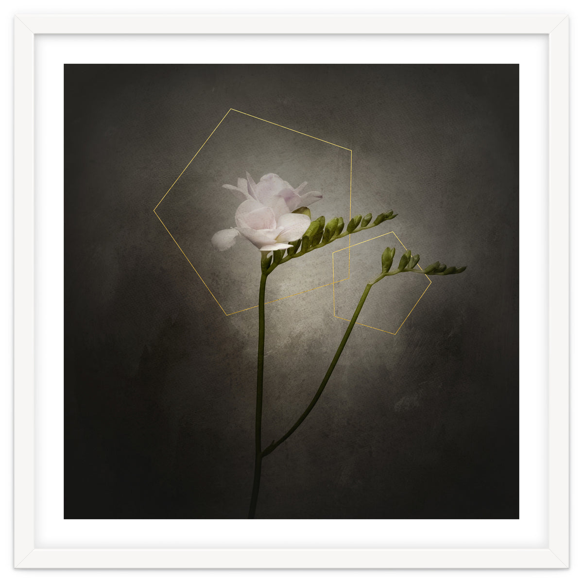 Graceful flower - Freesia | vintage style gold
