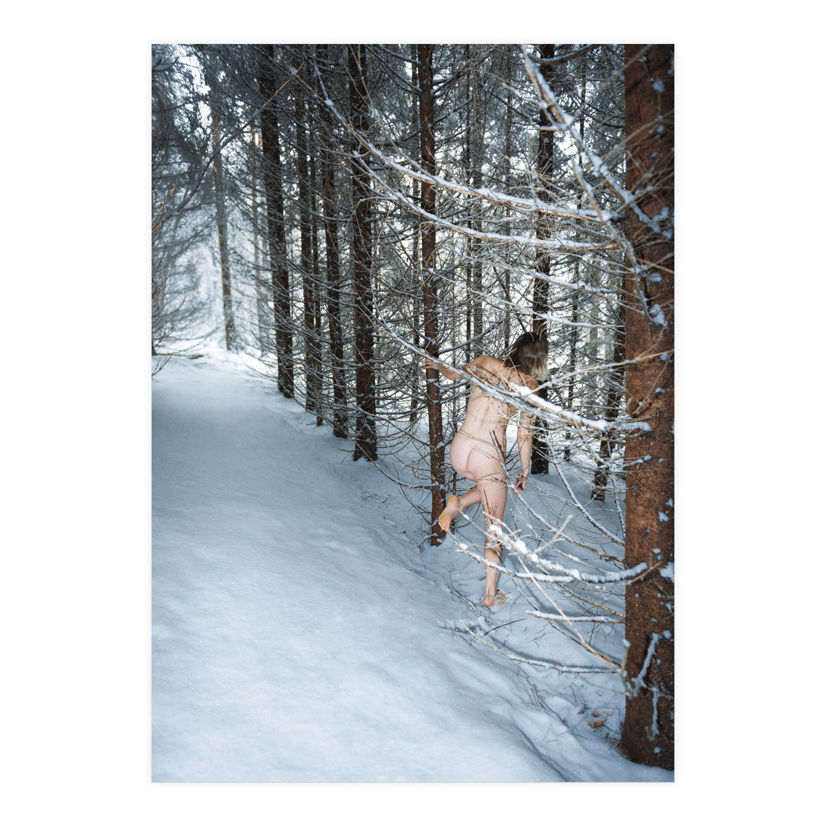 New Year's Resolutions (Print Only)