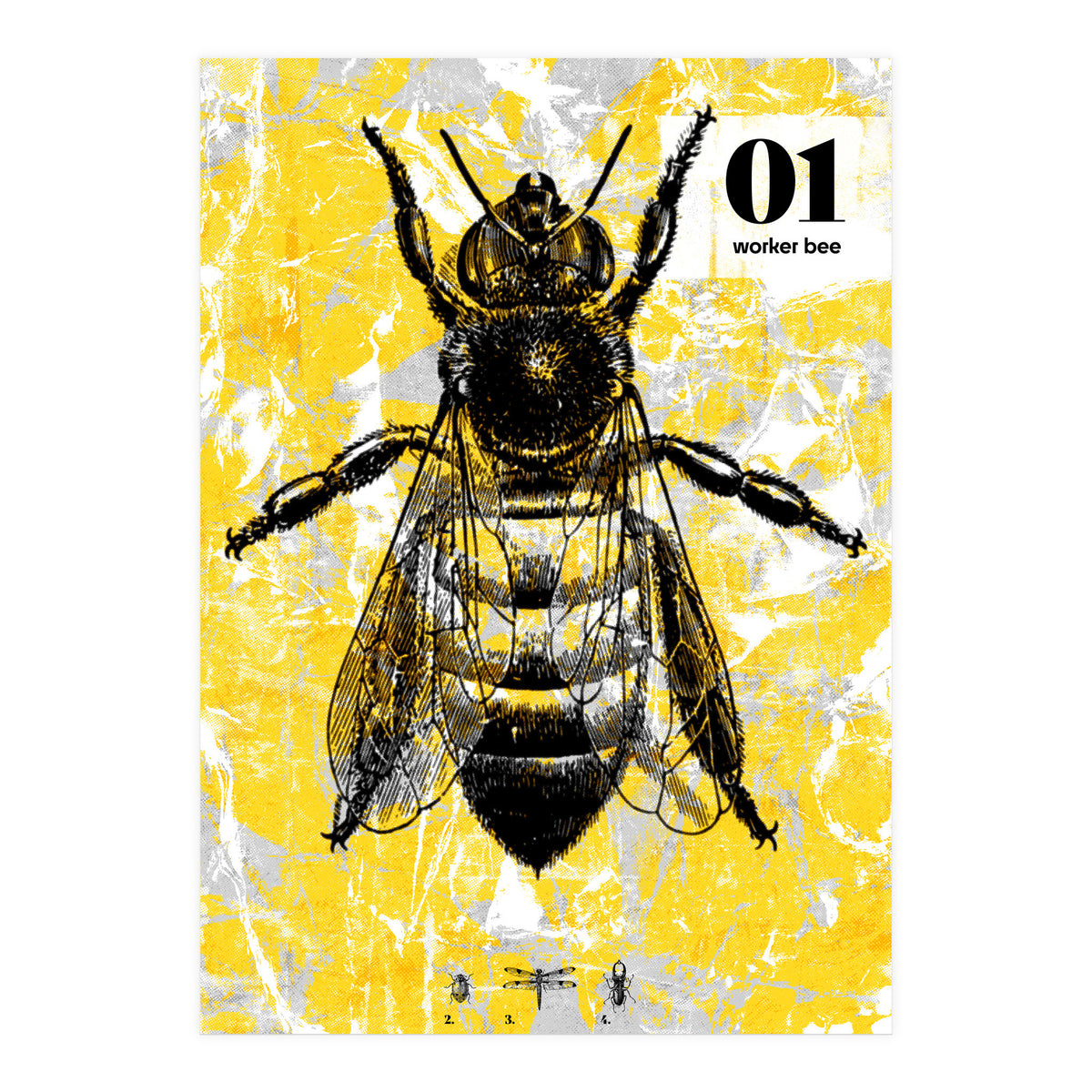 Bugs 1  (Print Only)