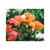 Blossoming Florals (Print Only) thumbnail