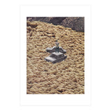 Traffic Jam (Print Only) thumbnail