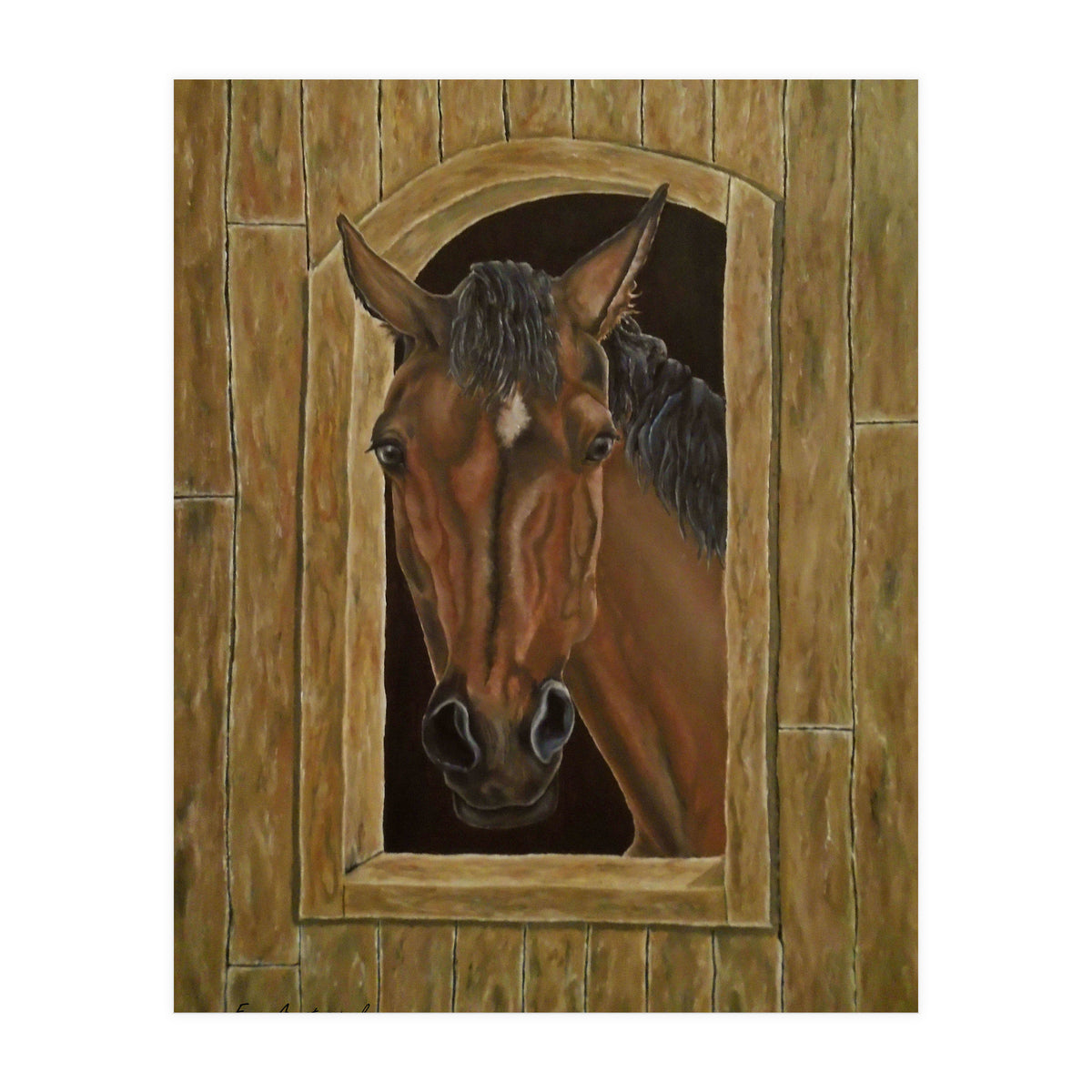 Inquisitive (Print Only)