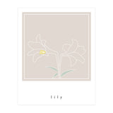 lily flower (Print Only) thumbnail